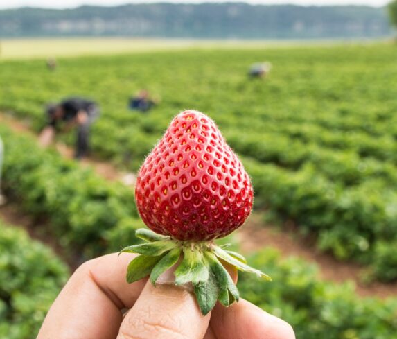 485767785_1188098629982576_4421707538962838613_n